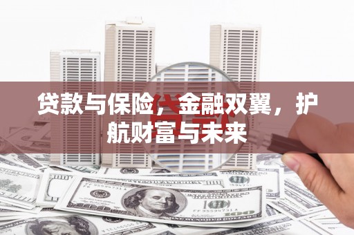 新蔡贷款与保险，金融双翼，护航财富与未来