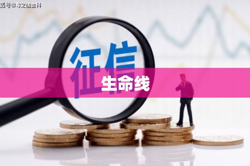 新蔡生命线