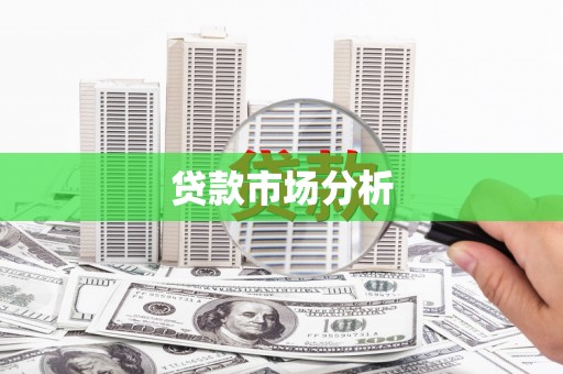 新蔡贷款市场分析