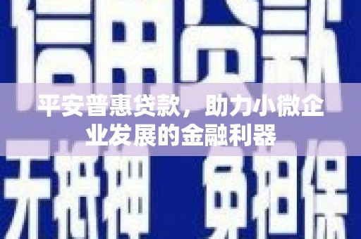 新蔡平安普惠贷款，助力小微企业发展的金融利器