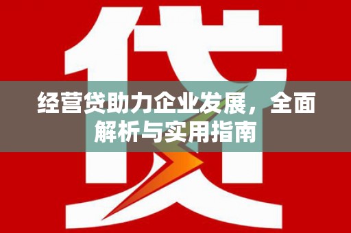 新蔡经营贷助力企业发展，全面解析与实用指南
