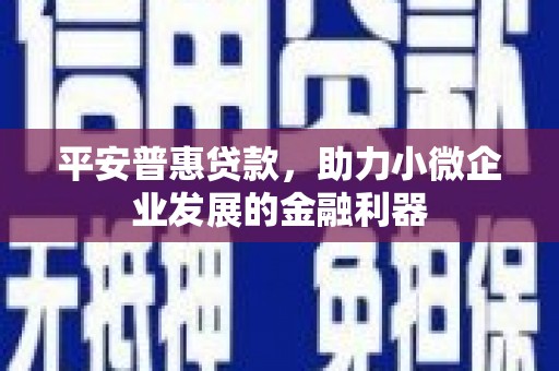 新蔡平安普惠贷款，助力小微企业发展的金融利器