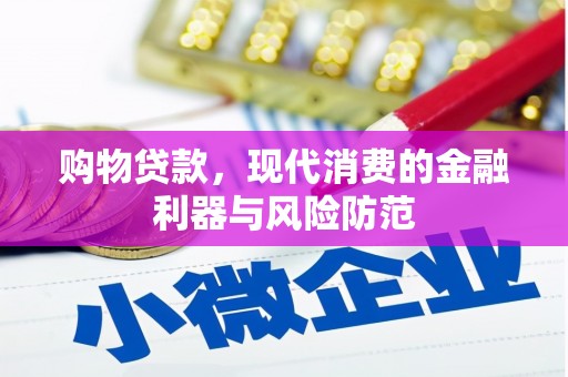 新蔡购物贷款，现代消费的金融利器与风险防范