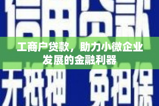新蔡工商户贷款，助力小微企业发展的金融利器