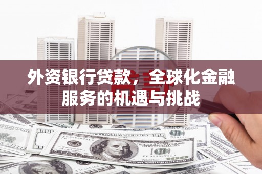 新蔡外资银行贷款，全球化金融服务的机遇与挑战