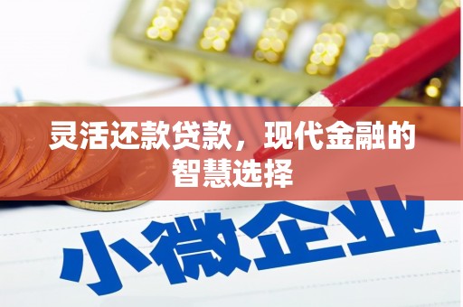 新蔡灵活还款贷款，现代金融的智慧选择