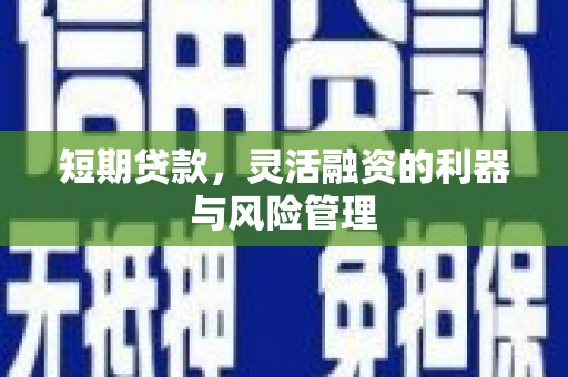 新蔡短期贷款，灵活融资的利器与风险管理