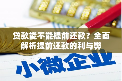 新蔡贷款能不能提前还款？全面解析提前还款的利与弊