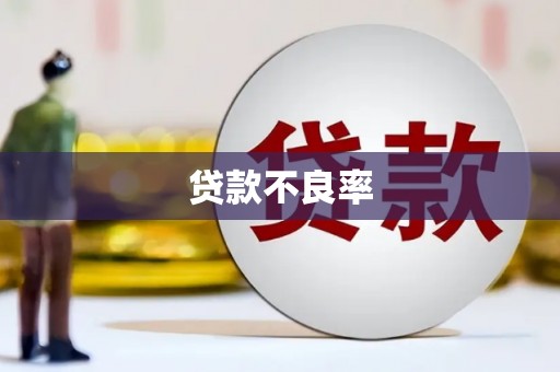 新蔡贷款不良率