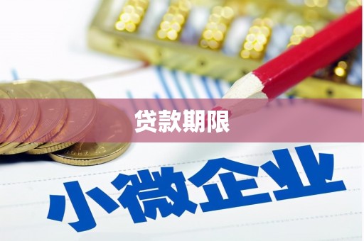 新蔡贷款期限