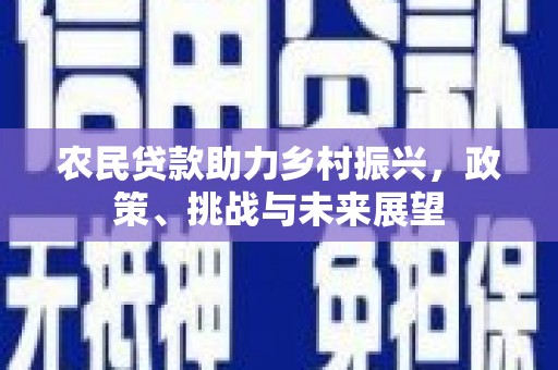 新蔡农民贷款助力乡村振兴，政策、挑战与未来展望