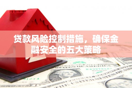 新蔡贷款风险控制措施，确保金融安全的五大策略