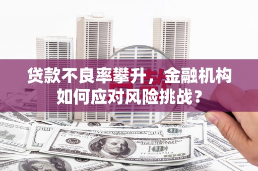 新蔡贷款不良率攀升，金融机构如何应对风险挑战？