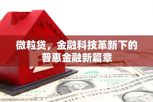 新蔡微粒贷，金融科技革新下的普惠金融新篇章