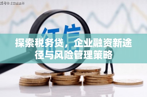 新蔡探索税务贷，企业融资新途径与风险管理策略