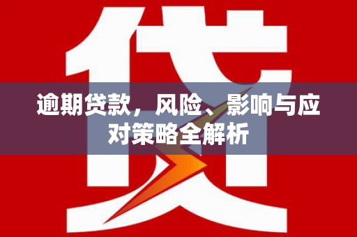 新蔡逾期贷款，风险、影响与应对策略全解析
