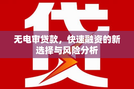 新蔡无电审贷款，快速融资的新选择与风险分析