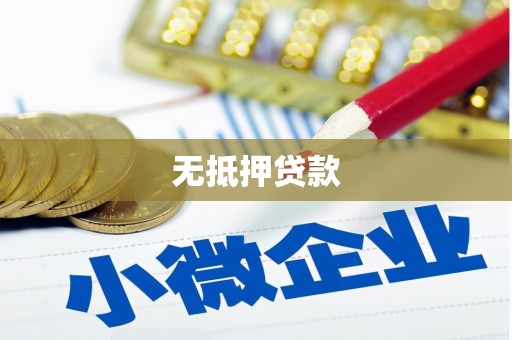 新蔡无抵押贷款