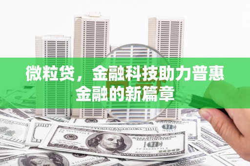 新蔡微粒贷，金融科技助力普惠金融的新篇章