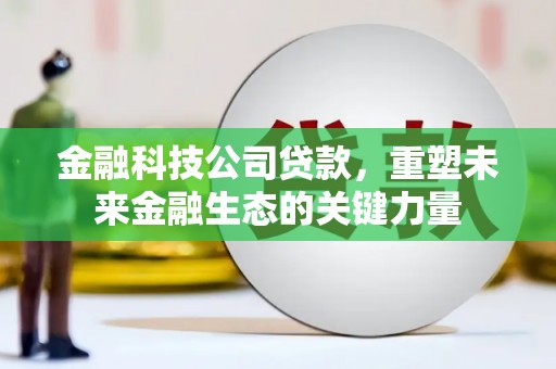 新蔡金融科技公司贷款，重塑未来金融生态的关键力量