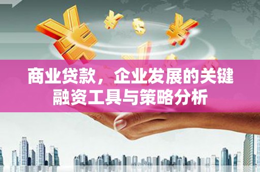 新蔡商业贷款，企业发展的关键融资工具与策略分析