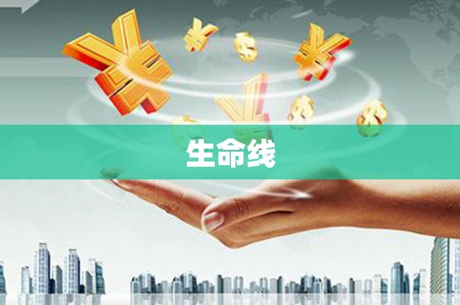 新蔡生命线