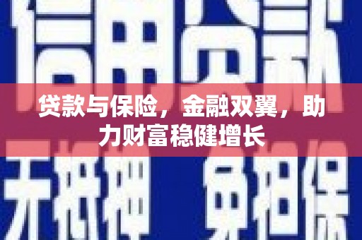 新蔡贷款与保险，金融双翼，助力财富稳健增长