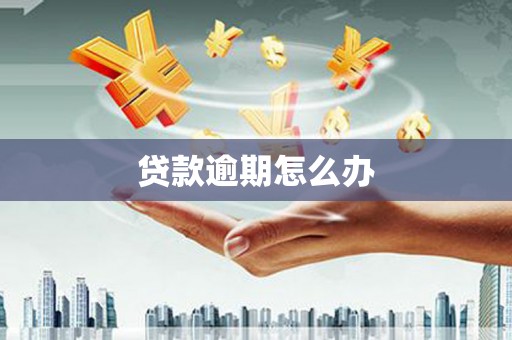 新蔡贷款逾期怎么办