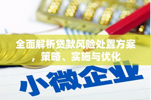 新蔡全面解析贷款风险处置方案，策略、实施与优化