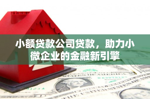 新蔡小额贷款公司贷款，助力小微企业的金融新引擎