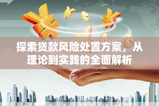 新蔡探索贷款风险处置方案，从理论到实践的全面解析