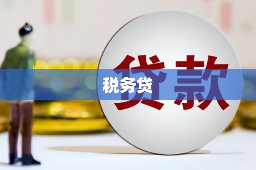 新蔡税务贷
