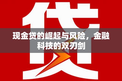新蔡现金贷的崛起与风险，金融科技的双刃剑