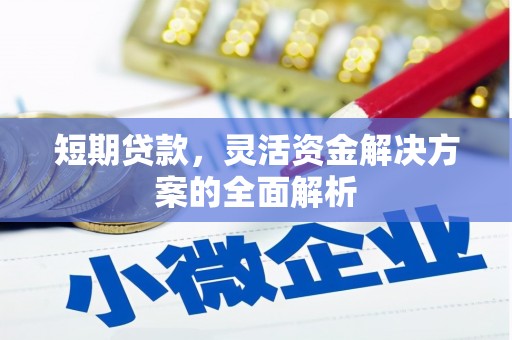新蔡短期贷款，灵活资金解决方案的全面解析
