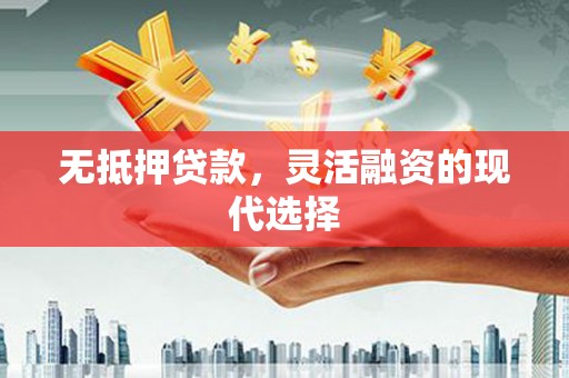 新蔡无抵押贷款，灵活融资的现代选择