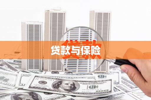 新蔡贷款与保险