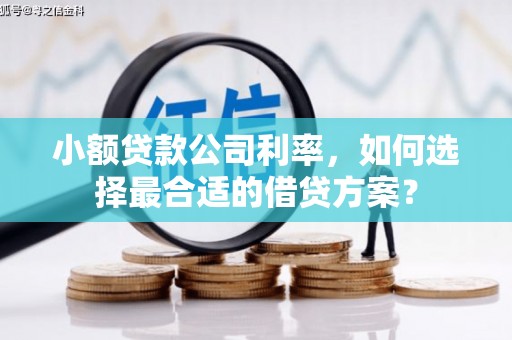 新蔡小额贷款公司利率，如何选择最合适的借贷方案？