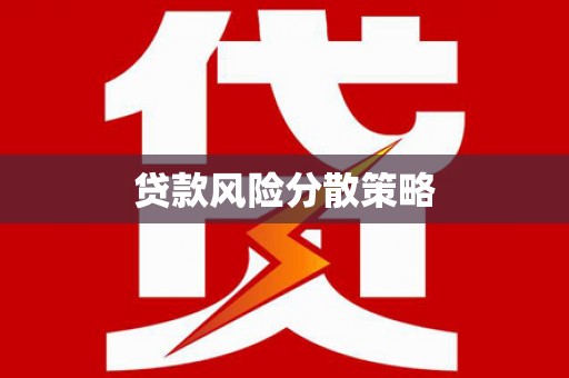 新蔡贷款风险分散策略