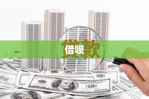 新蔡借呗