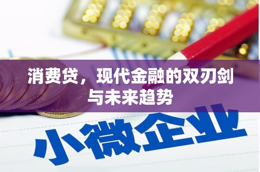 新蔡消费贷，现代金融的双刃剑与未来趋势