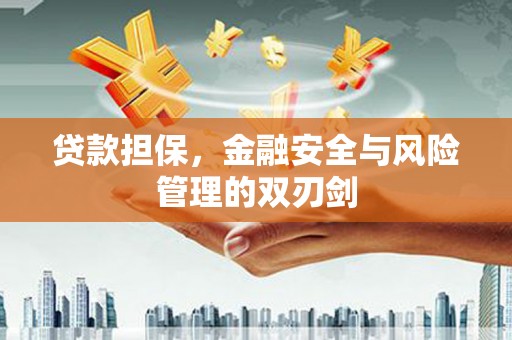 新蔡贷款担保，金融安全与风险管理的双刃剑
