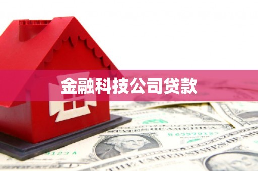 新蔡金融科技公司贷款