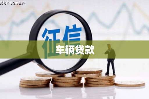 新蔡车辆贷款