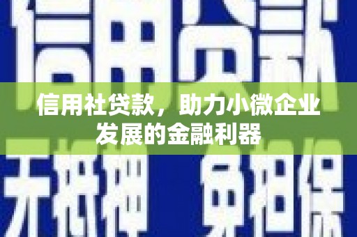 新蔡信用社贷款，助力小微企业发展的金融利器