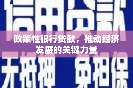 新蔡政策性银行贷款，推动经济发展的关键力量