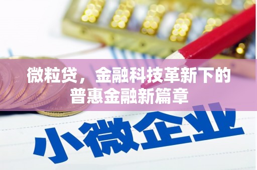 新蔡微粒贷，金融科技革新下的普惠金融新篇章