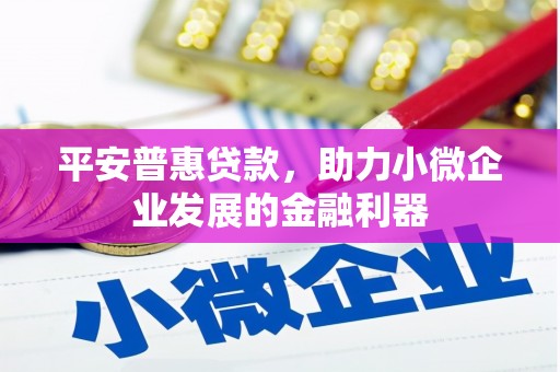 新蔡平安普惠贷款，助力小微企业发展的金融利器