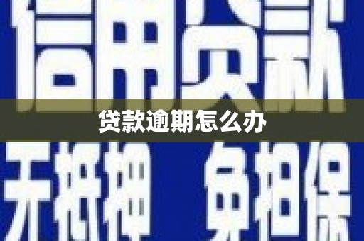 新蔡贷款逾期怎么办