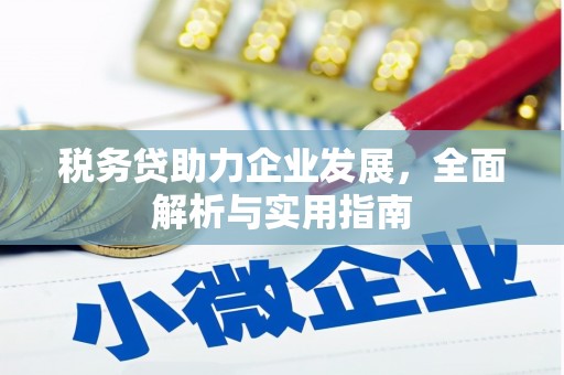 新蔡税务贷助力企业发展，全面解析与实用指南
