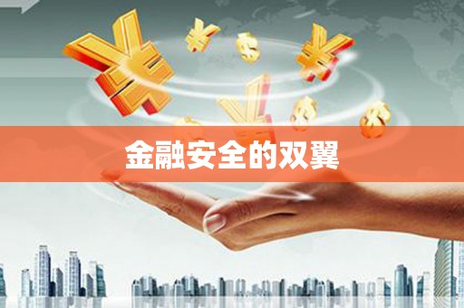 新蔡金融安全的双翼